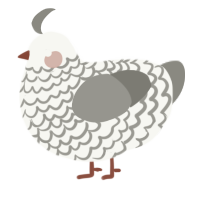 A white and ash chicken with a lace pattern