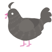 A grey chicken with a bar pattern