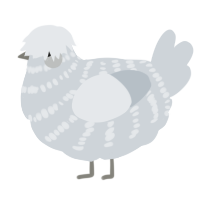A mist chicken with a bar pattern