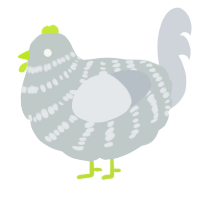 A silver and mist chicken with a bar pattern
