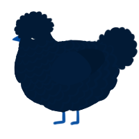 A tumblr chicken with a lace pattern