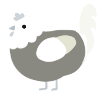 A ash and white chicken with a head pattern