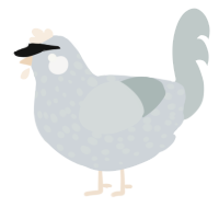A mist and silver chicken with a speckle pattern
