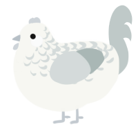 A white and silver chicken with a half-lace pattern