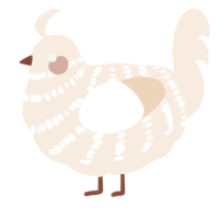 A cream chicken with a bar pattern