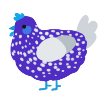 A indigo and mist chicken with a speckle pattern
