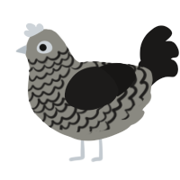 A ash and sable chicken with a lace pattern