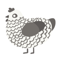 A white and grey chicken with a lace pattern