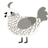 A white and ash chicken with a lace pattern