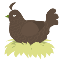 A bark chicken with a lace pattern
