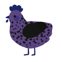 A overcast and black chicken with a speckle pattern