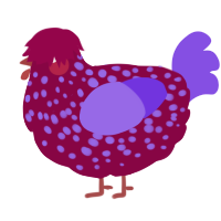 A maroon and blurple chicken with a speckle pattern