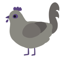 A ash and grey chicken