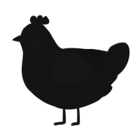 A black chicken