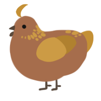 A brown and gold chicken with a neck-speckle pattern