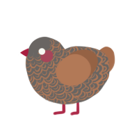 (unnamed), a grey and brown chicken with a double-lace pattern