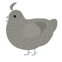A ash chicken with a lace pattern