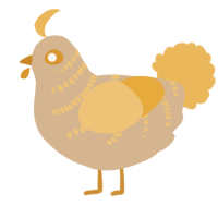 A beige and honey chicken with a half-bar pattern