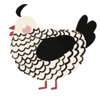 A cream and black chicken with a lace pattern
