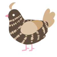 A bark and beige chicken with a bar pattern