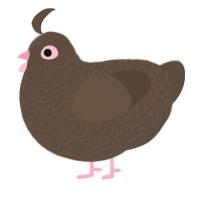 A bark chicken with a double-lace pattern