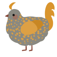 A ash and orange chicken with a speckle pattern