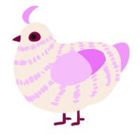 A cream and lavender chicken with a bar pattern