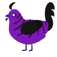 A violet and black chicken with a half-bar pattern