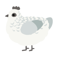 A white and silver chicken with a half-lace pattern
