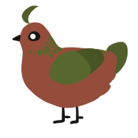 A russet and olive chicken with a neck-speckle pattern
