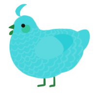 A aqua chicken with a lace pattern