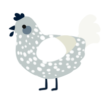 A silver and white chicken with a speckle pattern