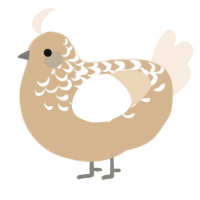 A beige and cream chicken with a half-lace pattern