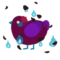 A wine and violet chicken with a neck-band pattern