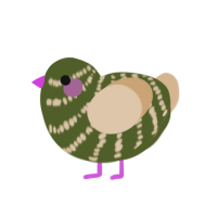 Vannah, a olive and beige chicken with a bar pattern