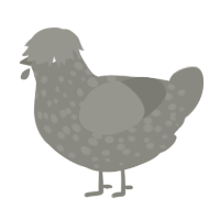 A ash chicken with a speckle pattern