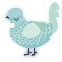 A aqua and mint chicken with a lace pattern