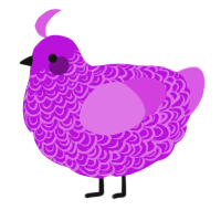 A amethyst and orchid chicken with a double-lace pattern