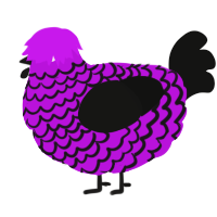 A amethyst and black chicken with a lace pattern