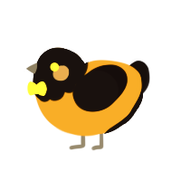 A orange and black chicken with a head pattern