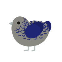 (unnamed), a ash and navy chicken with a half-lace pattern