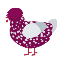 A wine and mist chicken with a speckle pattern