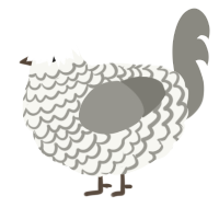 A white and ash chicken with a lace pattern