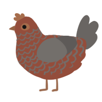 A russet and grey chicken with a lace pattern