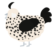 A cream and black chicken with a speckle pattern