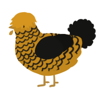 A ochre and black chicken with a lace pattern