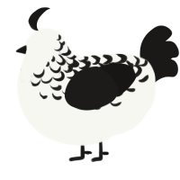 A white and sable chicken with a half-lace pattern