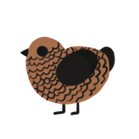 Cookiedough, a brown and sable chicken with a lace pattern