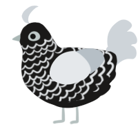 A sable and mist chicken with a lace pattern