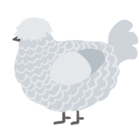 A mist chicken with a lace pattern